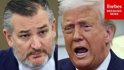 Ted Cruz Warns: Long-Term Tariffs Would 'Function As A De Facto Tax Increase' On Small Biz, Middle Class