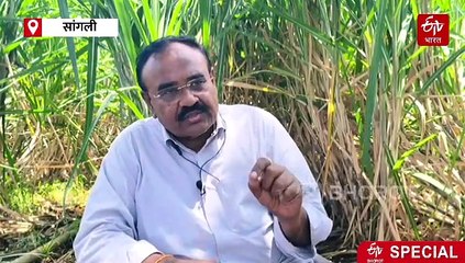 'एआय'मुळं एकरी 10 ते 15 टन ऊस उत्पादनात वाढ; कशी करायची आधुनिक शेती? संजीव मानेंच्या टिप्स करा फॉलो