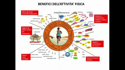 Roma - Stati generali dello sport -3- (05.05.25)