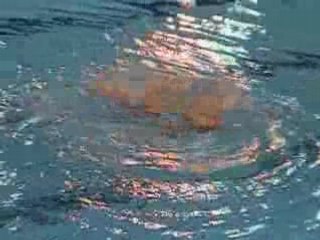 Championnat d'Europe Juniors 2008 Duo France