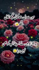 d71889edf2017e1fb40d92c436ede9e8