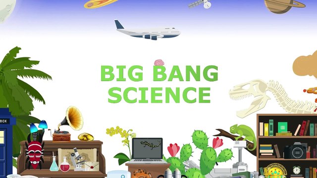 L'homme au cerveau creux 🧠: la plasticité cérébrale