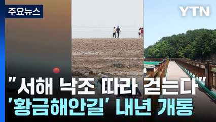 "서해 낙조 따라 걷는다"...화성 '황금해안길' 내년 개통 / YTN