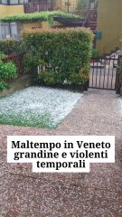 Zaia - Una violenta grandinata  (05.05.25)