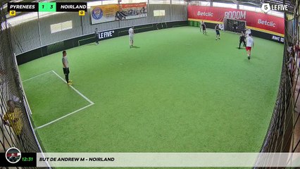 But de Andrew M - Noirland