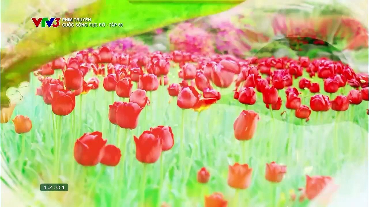 CUỘC SỐNG RỰC RỠ - TẬP 60-61 - VTV3 THUYẾT MINH - PHIM HÀN QUỐC - CUOC SONG RUC RO
