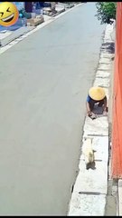 Dog new viral funny video 📸 🤣🤣#shorts #shortvideo #funnyvideos #viralshort #viralvideo #comedy