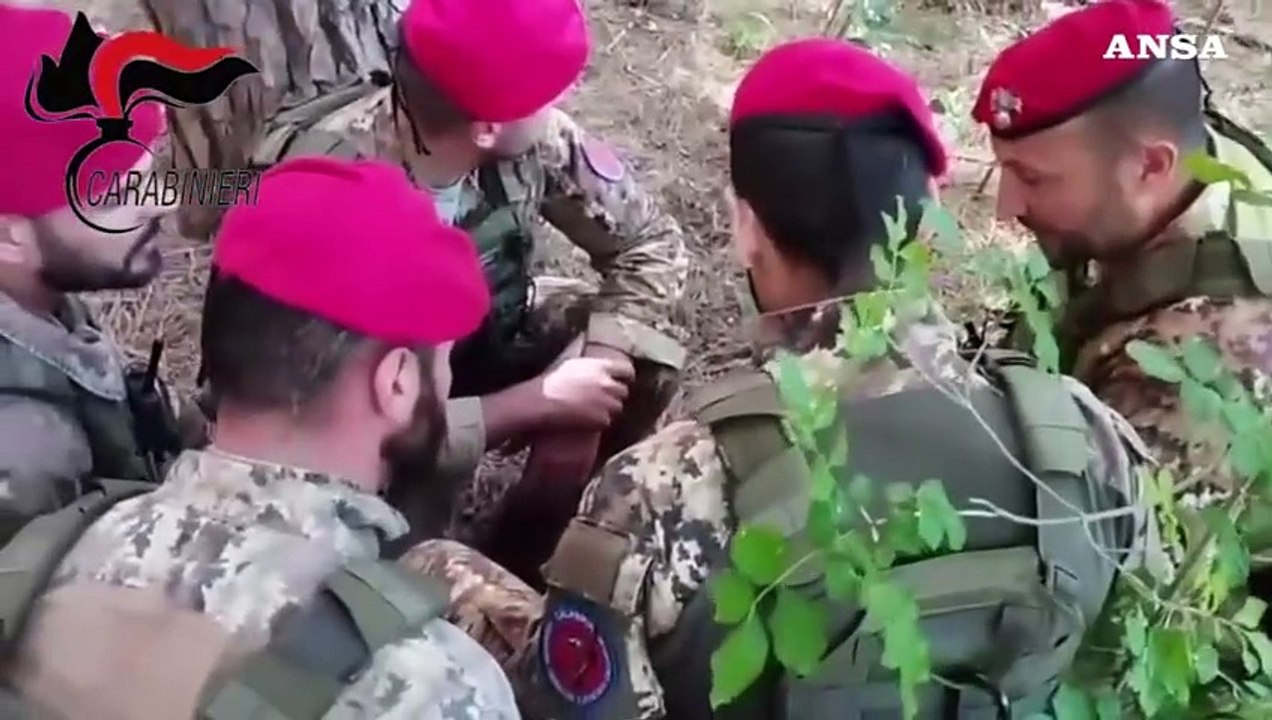 Grosseto, sei arresti in un blitz antidroga nei boschi della Maremma