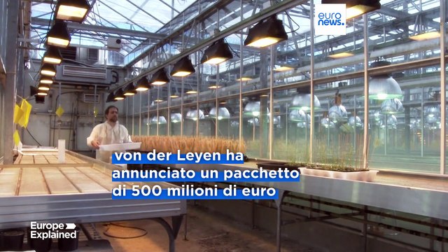 Von der Leyen agli scienziati minacciati da Trump: Venite in Europa