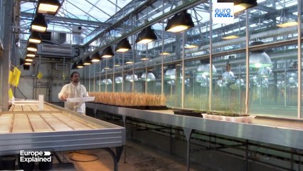Επιλέξτε Ευρώπη: Η ΕΕ καλεί Αμερικανούς επιστήμονες που απειλούνται από τις πολιτικές του Τραμπ