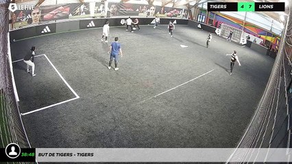 But de Tigers - TIGERS