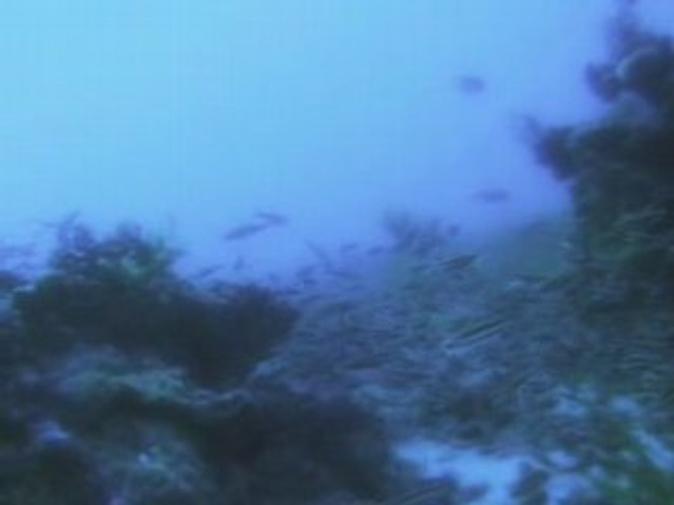 INTRO_REVISED_VERSION_A