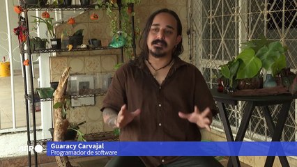 Dos rituais ao laboratório: uma planta em teste contra depressão no Brasil