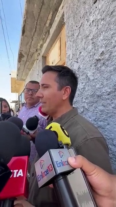 Árboles en Saltillo: Incrementan atención para detectar daño ambiental 