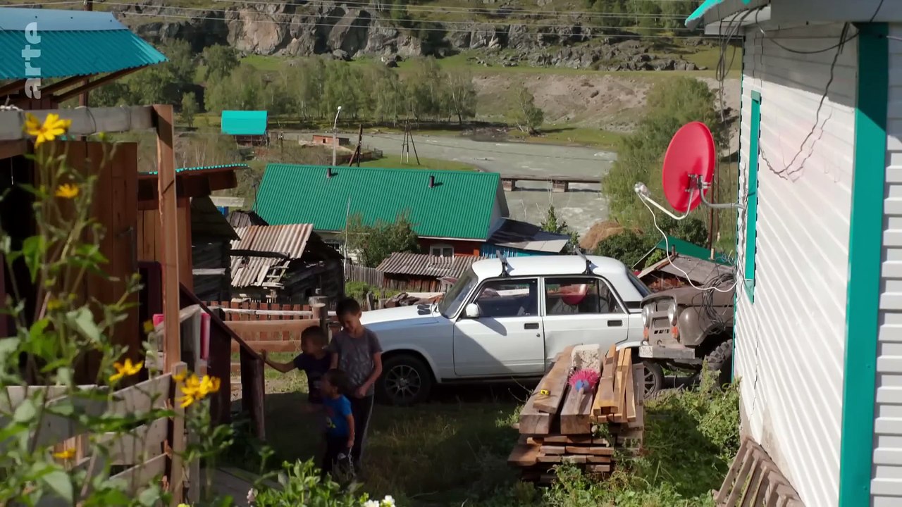 Les pignons de cèdre, lor de la taïga  GEO Reportage  ARTE Family
