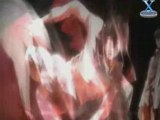 [ AMV ] Death Note