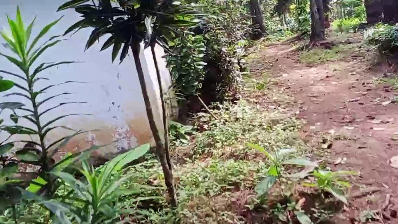 Gunung katu 8 wagir