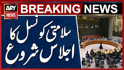 New York: UN Security Council Meeting Begins