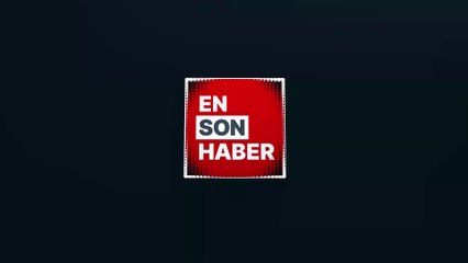 Tekirdağ'da sahipsiz köpeğin ısırdığı kadın yaralandı