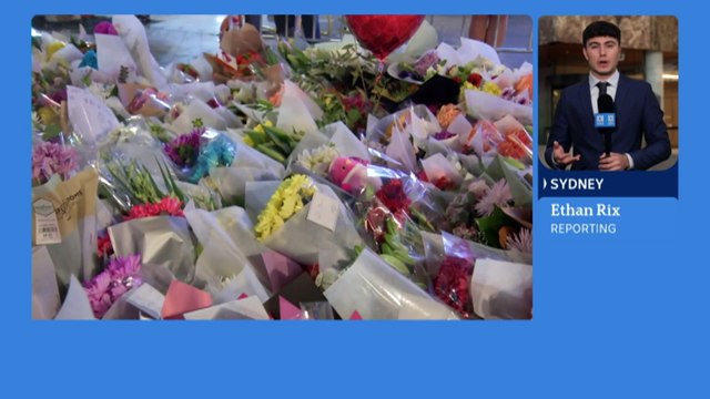 Queensland police officers give evidence about interactions with Bondi Junction attacker