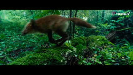 Chapeuzinho Vermelho - Herança de Família | movie | 2022 | Official Trailer