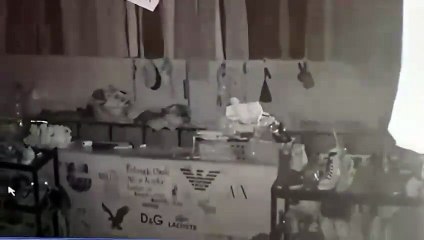 Delincuente es captado robando en negocio de la Quinta Avenida en Comayagüela