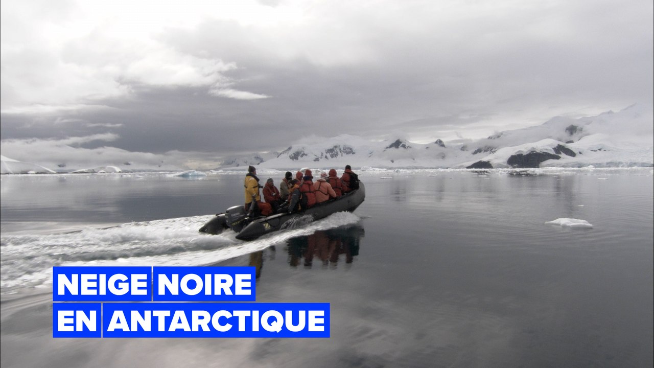 La glace de l'Antarctique noircit