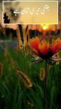 1. سب تعریف اللہ ہی کے لیے ہے جو تمام کائنات کا رب ہے۔ 2. بڑا مہربان، نہایت رحم فرمانے والا۔ 3. جزا و سزا کے دن کا مالک۔ 4. (اے اللہ!) ہم تیری ہی عبادت کرتے ہیں اور تجھی سے مدد مانگتے ہیں۔ 5. ہمیں سیدھا راستہ دکھا۔ 6. ان لوگوں کا راستہ جن پر تو نے انعام ف