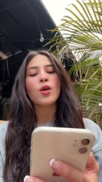 German Shepherd Gives Adorably Confused Look at Pet Camera