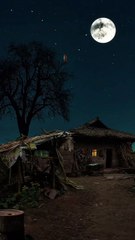 Beautiful Night Nature 🍄‍🟫