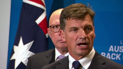 Shadow Defence Minister Andrew Hastie confirms he won't run for Liberal leadership