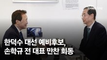한덕수∙손학규 110분 회동…"개헌해 위기 극복" "단일화 잘해야"