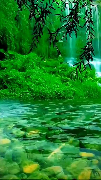 Nature beauty