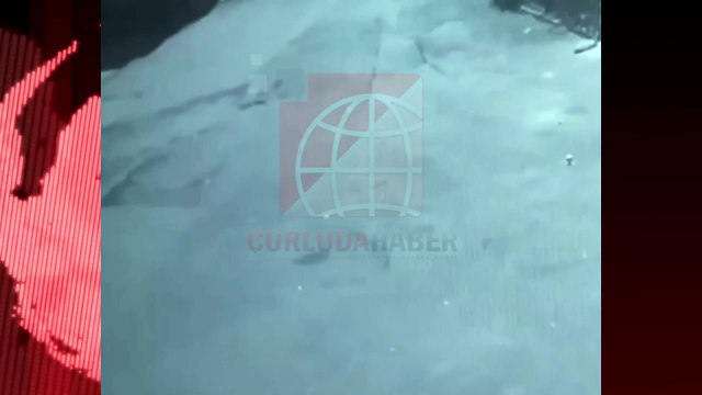 Sokak Köpeğinin Saldırısına Uğrayan Kadın Yaralandı