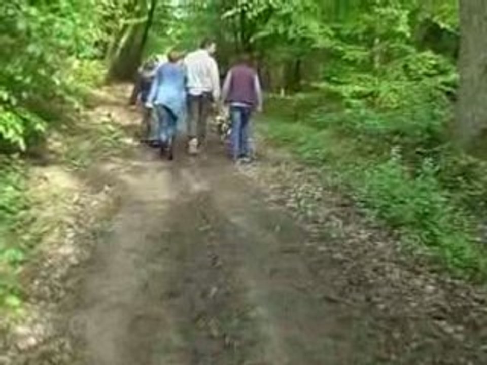 Promenade200805P1