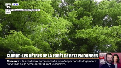 "Pour l'année, c'est foutu": à cause de la grêle dans le Rhône, les récoltes sont ravagées