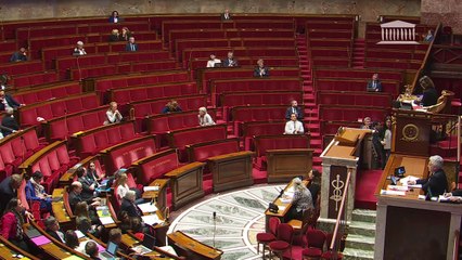2ème séance : Protéger les personnes engagées dans un projet parental des discriminations au travail ; Libération immédiate et inconditionnelle de Boualem Sansal - Lundi 5 mai 2025