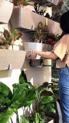 Sereno's Balcony Planters Turn Urban Corners into Botanical Retreats