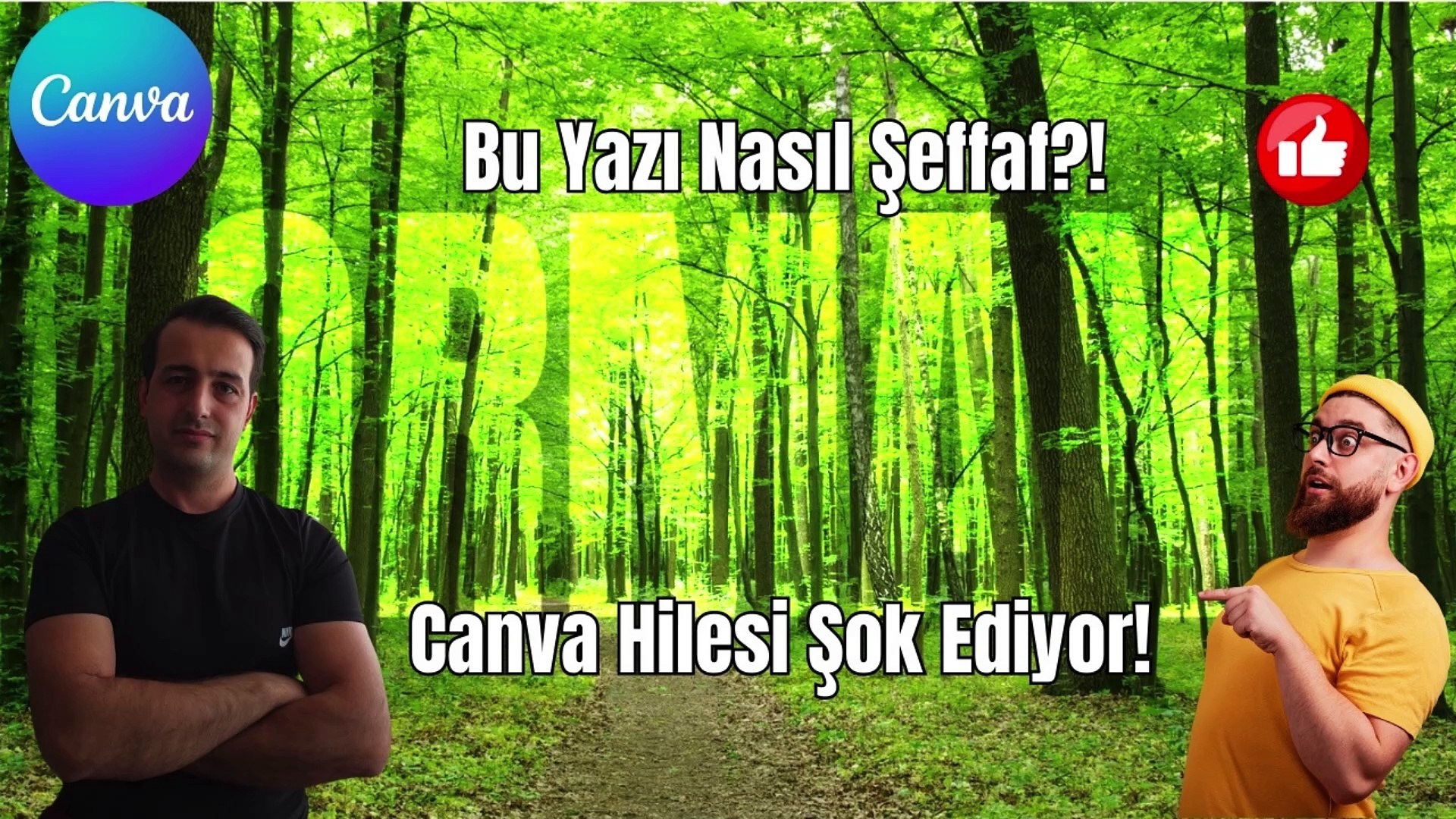 Canva’da Bu Yazı Efekti Akıl Almaz! Gören İnanamıyor!