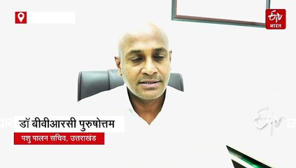 केदारनाथ यात्रा मार्ग रुद्रप्रयाग में 2 दिन में 14 घोड़े-खच्चरों की मौत, केंद्र से जांच को पहुंच रही टीम