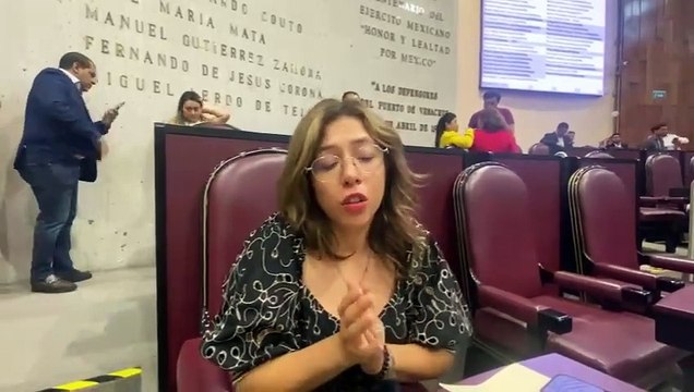 Rocío Nahle pidió unificar los recursos de parques y verificación vehicular en una sola dependencia