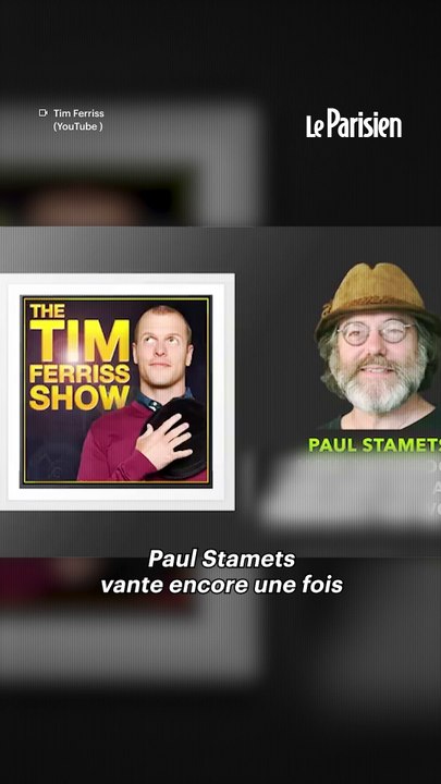 Lion's Mane, le champignon magique ?