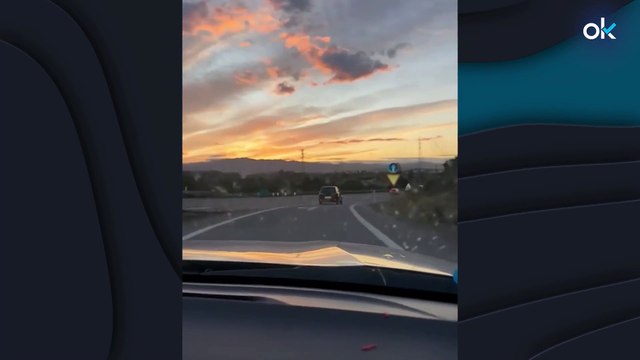Las redes sociales buscan al dueño de un perro abandonado cruelmente en una carretera de Almería