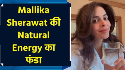 Mallika Sherawat का हेल्थ फंडा, Video शेयर कर बताया क्या पीने से मिलती है Natural Energy?