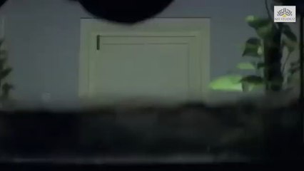 Salman Khan and preity romantic scene