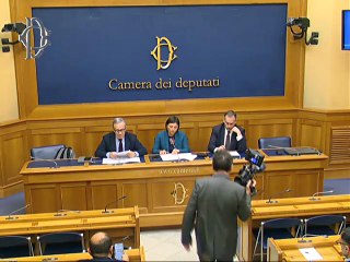 Roma - Pdl armi - Conferenza stampa di Debora Serracchiani (06.05.25)