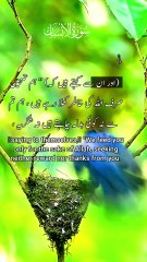 This One Quran Verse Will Change Your Life Forever! #quranvideo #shorts #viralvideo