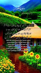 Listen to This Once — You’ll Never Forget It! #quranvideo #shorts