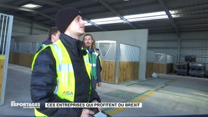 LES REPORTAGES DE LA REDACTION - Ces entreprises qui profitent du Brexit