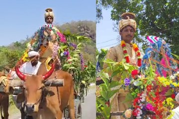 बैलगाड़ी से निकली बस चालक की बारात